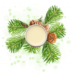 RECETTE PARFUM SOLIDE PIN
