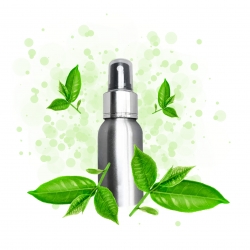 RECETTE PARFUM SPRAY COSMETIQUE THE VERT