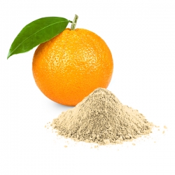 Orange POUDRE DE FRUIT
