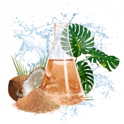 Parfum cosmétique Oasis Intense