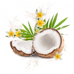 Parfum cosmétique Eau de coco & Fleur de tiaré