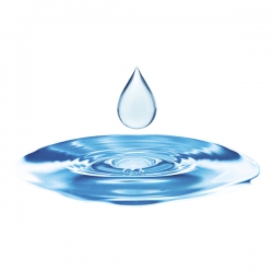 Parfum cosmétique Eau de source