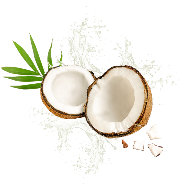 Parfum cosmétique Noix de Coco