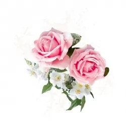 Parfum cosmétique Rose délicate & Jasmin blanc