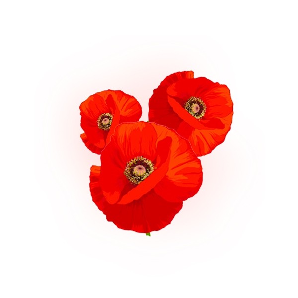 Coquelicot 