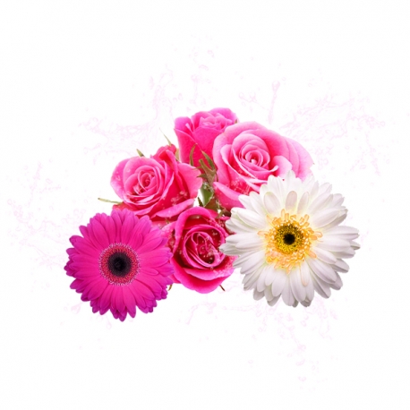 Parfum cosmétique Printemps floral 