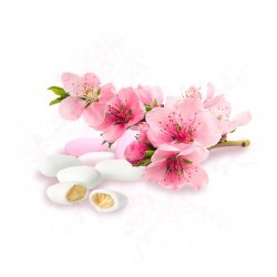 Parfum cosmétique Dragée - Fleur de cerisier