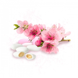 Parfum cosmétique Dragée Fleur de cerisier 