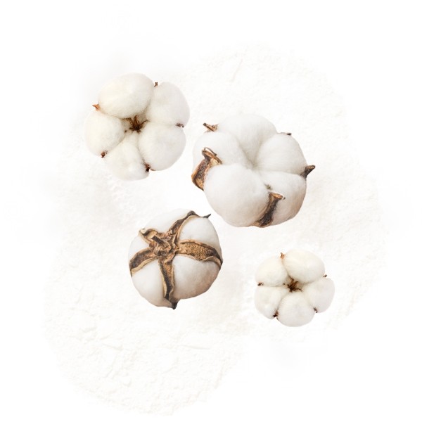 Parfum cosmétique Fleur de Coton 