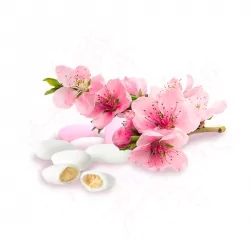 Parfum cosmétique Dragée Fleur de cerisier 