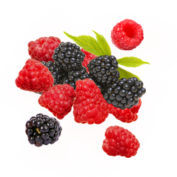 Parfum cosmétique Mûre & Framboise