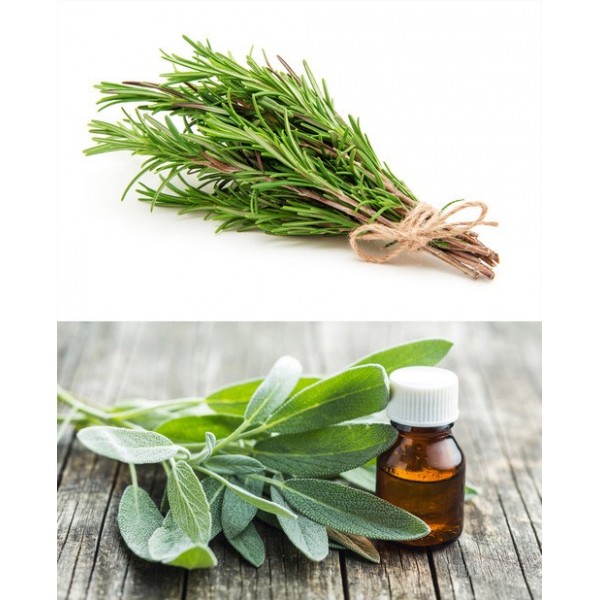 Parfum cosmétique Sauge romarin 