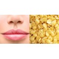 Cire de Candelilla pure et naturelle 