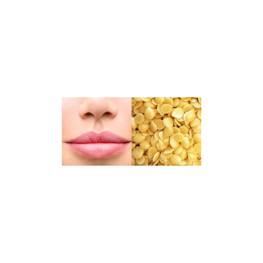 Cire de Candelilla pure et naturelle 