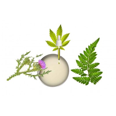 RECETTE BAUME CORPOREL ANTI-AGE