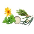 RECETTE BAUME CORPOREL FONDANT STIMULANT