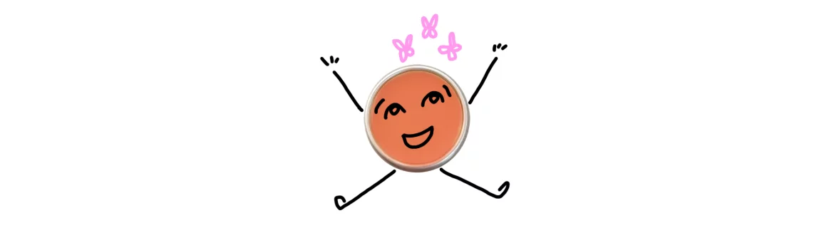 Ricette Fragranze e disegni solidi
