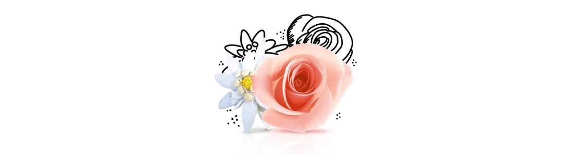 Florais