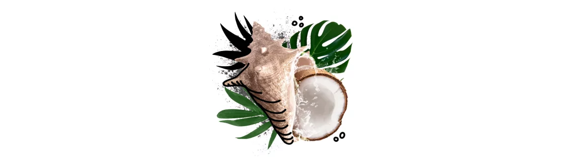 Exotikumok