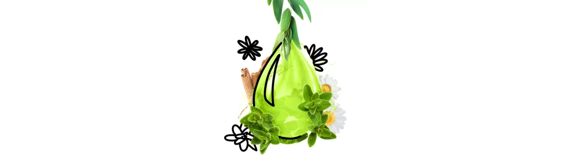 Aceites esenciales de calidad disponibles en cosméticos naturales