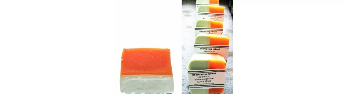 Shampoos naturais