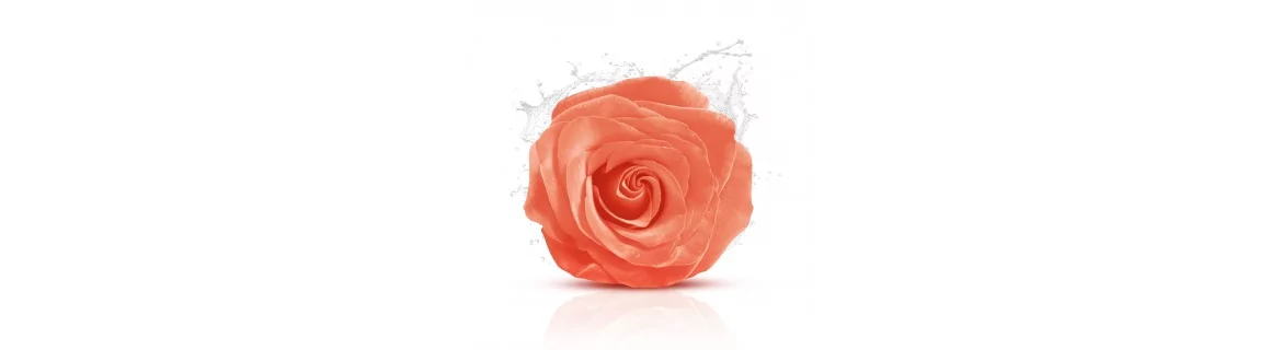 Fragancias florales