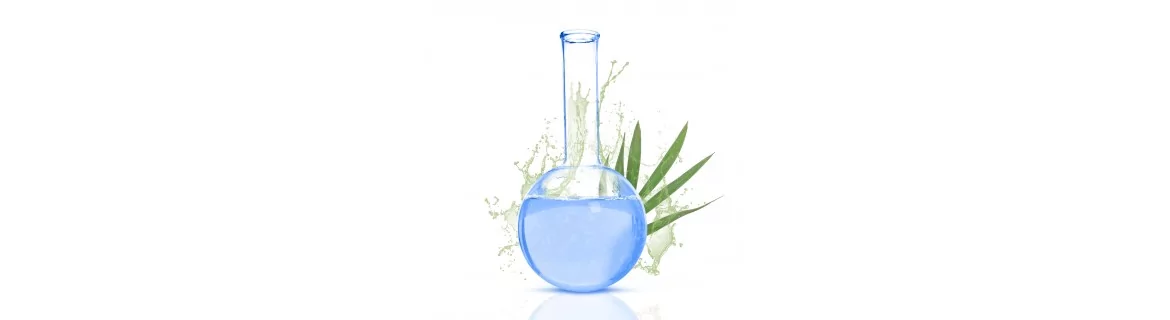 Fragrâncias marinhas & SPA